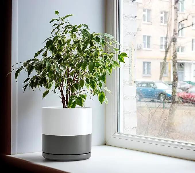 D'vine Dev Set of 2 Plants Pots, 8 Inch Ceramic Planter Pot for Plants with Drainage Hole and Saucer, White/Speckled Grey, 94-V-D-6, photo 7 of 7