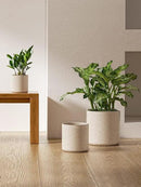 LE TAUCI Ceramic Plant Pots, 10 + 8 + 6 Inch, Planters for Indoor Plants, Mid-Century Modern Flower Pots with Drainage Hole, Cylinder Round Pots for Plants, Set of 3, Glaze Beige by GreenHaven Gardens