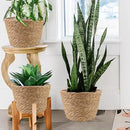 4 Pcs Large Premium Seagrass Planter Basket with Plastic Lining Natural Stylish Planter Baskets Indoor Outdoor Plants Woven Wicker Baskets for Plants Flower Pots Cover and Room Decor(10.2x7.5x7.5") by CozyNest Decor