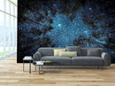 WFBHUA-Forest Starry Wallpaper Mural Night Galaxy Tree Sky Wallpaper for Living Room Bedroom Ceiling(Not Peel and Stick) by CozyNest Decor