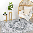 Lahome Boho Washable Rugs for Bedroom - 3x5 Area Rugs for Living Room Throw Non-Slip Thin Entryway Rug Kitchen Rugs Grey Oriental Distressed Print Capet for Office Bathroom Laundry Room Dining Room by TinyTreasures Baby Boutique