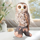 WONDER GARDEN Owl Statue Decor, Outdoor Resin Owl Figurine Sculpture for Home Porch Patio Lawn Yard Decorations or Housewarming Gifts by CozyNest Decor