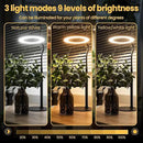 bseah Grow Light, Plant Light for Indoor Plants 2 Pack, Full Spectrum Desk Grow Lamp with Pedestal, Automatic Timer for 3H/9H/12H, 10 Dimmable Levels, Height Adjustable by GreenHaven Gardens