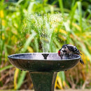 Biling 7.5W Solar Water Pump Outdoor, Solar Pond Pump Solar Fountain with DIY 5ft Tubing for Small Ponds, Garden Pool and Bird Bath