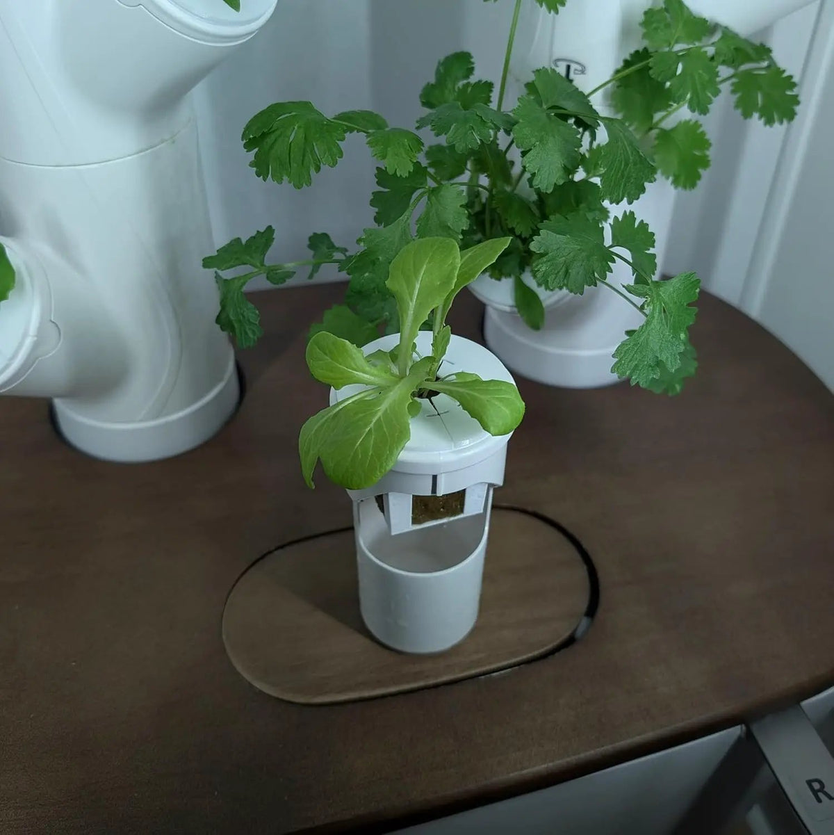Grow Cubes for Hydroponic System/Compatible with Gardyn (15 Grow Cubes), photo 2 of 6
