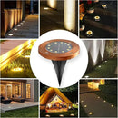 Outdoor In-Ground Lights Solar Disc Lights Outdoor Solar Garden Lights In Ground Solar Landscape Light 8 Pack 12 led for Pathway Yard Patio Walkway(Bronze, 8 Pack) by GreenHaven Gardens