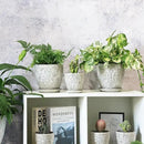 4 Inch Mini Plant Pots, Ceramic Succulent Planter with Drainage Hole and Saucers for Indoor Plants, Small Garden Pots for Succulent, Herb and Flower, Set of 4 by CozyNest Decor