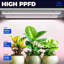 Barrina T5 Grow Lights for Indoor Plants, Full Spectrum Grow Light, 2ft 80W (8 x 10W), Plant Lights for Indoor Plants Growing, Pinkish White, 8-Pack by GreenHaven Gardens