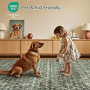 Lofus 5x7 Area Rug for Living Room,Green Washable Area Rugs with Non-Slip Backing,Soft Boho Carpets for Bedroom Dining Room Home Office Indoor Nursery by TinyTreasures Baby Boutique