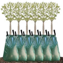 REMIAWY Tree Watering Bag, 20 Gallon Slow Release Watering Bag for Trees, Tree Irrigation Bag Made of Durable PVC Material with Zipper (6 Pack 5-8 Hours Releasing Time) by GreenHaven Gardens