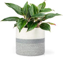 Dahey Jute Cotton Rope Plant Basket Mini Woven Storage Basket for Up to 7" Planter, Decorative Flower Pot Cover Closet Storage Bin Table Desk Organizer Modern Home Decor, Grey by GreenHaven Gardens