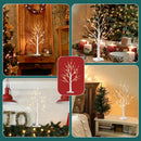 2ft Lighted Indoor & Outdoor Birch Tree by EP Designlab LLC