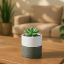 D'vine Dev Set of 2 Plants Pots, 3.5 Inch Ceramic Planter Pot for Plants with Drainage Hole and Saucer, White/Speckled Grey, 94-V-A-6 by GreenHaven Gardens