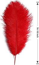 THARAHT Red Ostrich Feathers 12pcs Large Natural Bulk 16-18Inch 40cm-45cm for Wedding Party Centerpieces Halloween and Home Decoration Feathers by CozyNest Decor