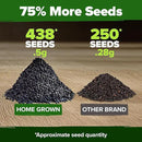 HOME GROWN Thai Basil Seeds Pack - 438 High Germination 𝗡𝗢𝗡-𝗚𝗠𝗢 𝗨𝗦𝗔 Heirloom Herb Seeds for Planting,Ideal for Growing Fresh Basil Planting Indoor or Outdoor(Ocimum basilicum var.thyrsiflora) by GreenHaven Gardens