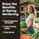 HOME GROWN 6000 Vegetable Seeds for Planting: 12 Spring Varieties of Garden Vegetables in Seed Packets, Garden Seeds for Garden Plants or Hydroponic Seeds - Heirloom Seeds - Non GMO by GreenHaven Gardens