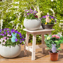 WILDKEN Terracotta Watering Globes, 4 Pack Rabbit Shaped Plant Watering Spikes Vacation Self-Watering Planters Devices for Indoor and Outdoor Plants by GreenHaven Gardens