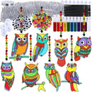 Winlyn 24 Sets Owl Suncatchers Ornaments Decorations DIY Window Paint Art Suncatchers Owl Craft Kits Sun Catchers for Kids Home Classroom Winter Holiday Season Fall Christmas Activities Party Favors by GreenHaven Gardens