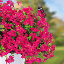 ‌20 Bundles Artificial Flowers for Outdoors‌ with 6 Faux Butterflies, UV Resistant ‌Fake Flowers‌ with Eucalyptus Leaves, ‌Artificial Plants Outdoor‌ for Patio Garden Porch Home Decor (Rose Red) by CozyNest Decor