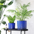 8 Inch + 6 Inch Indoor Plant Pot with Drainage Holes and Saucers, Ceramic Planter for Plants Succulent Orchid Flower Pots by CozyNest Decor