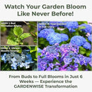 Slow Release Hydrangea Fertilizer with Iron & Sulfur – Indoor & Outdoor Soil Acidifier for Miracle Growth (12 oz) by GreenHaven Gardens