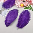 THARAHT 24pcs Purple Ostrich Feathers Natural Bulk 10-12Inch 25cm-30cm for Wedding Party Centerpieces Easter Gatsby and Home Decorate Ostrich Feather by CozyNest Decor