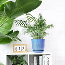 Gepege 8 Inch Plant Pot for Indoor Plants, Ceramic Planter with Drainage Holes and Saucers Large Flower Pot by GreenHaven Gardens
