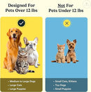 Jasper Dog Toothbrush, 360 Dog Tooth Brushing Kit, Finger Toothbrush, Cat Tooth Brush, Teeth Cleaning, Pet Tooth Brush for Small & Large Pets, Pet Toothpaste Not Included, 4-Pack Clear by CozyNest Decor