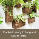 LaLaGreen Wood Planter Box for Plants (4 Pack) Wooden Hanging Wall Planters for Indoor Plant Holder Vase for Dried Flowers, Modern Living Room Bedroom Kitchen Home Office Decor by GreenHaven Gardens