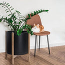D'vine Dev Planter Pot with Stand - 16 Inch Plastic Cylinder Flower Pot with Wood Planter Holder for Indoor, Matte Black Pot + Natural Stand, 55-C-Y-2 by GreenHaven Gardens