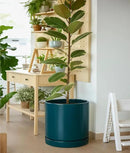 D'vine Dev 14 Inch Ceramic Planter Pot with Drainage Hole and Saucer, Indoor Cylinder Round Planter Pot, Teal, 94-O-G-9 by GreenHaven Gardens