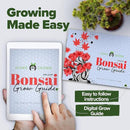 HOME GROWN Bonsai Tree Kit - Premium Ceramic Starter Kit - 4 Variety of Bonsai - Unique Gift for Men and Women Gardeners by GreenHaven Gardens