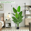 Fake Bird of Paradise Silk Artificial Plant Faux Banana Leaf Tree for Home Decor Indoor Floor Plant with 10 Trunks (1, Black Planter, 6 FT) by CozyNest Decor