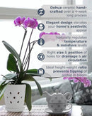 Whispering Winds Ceramic 5 x 6 Inch Orchid Pot with Holes & Saucer for Aeration and Drainage - Decorative Orchid Pots for Repotting, Prevent Over Watering & Root Rot (Carrara White) by GreenHaven Gardens