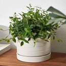 8 Inch Pots for Plants, Ceramic Planter Pot with Drainage Hole & Saucer, Indoor/Outdoor Cylinder Round Planter Pot, Matte White by CozyNest Decor