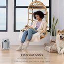 Shark NeverChange Air Purifier Compact Pro with Long-lasting HEPA Exceeding Filtration, For Pet Dander, Dust, Smoke, Allergens, Up to 250 sq. ft. for Bedroom, Home Office, Dorm, HP071BRN (2025) by CozyNest Decor