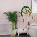 GARDIFE Large Hanging Planter, 12 inch Hanging planters for Indoor. Outdoor Plants, Self Watering Plant Pot, Plant Hanger, Green by CozyNest Decor