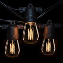 Hometown Evolution, Inc. E26 Commercial String Lights with 16 Gauge Wire (50 Foot 25 Socket, S14 Lantern Edison 11 Watt Bulbs) by GreenHaven Gardens