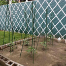 Garden Plant Stakes 57 Inch (Approx 5Ft) Steel Plant Stick Support, 25 Pack Tomato Stakes for Growing Climbing Plants, Potted Plants, Tomatoes, Trees, Cucumber, Beans, Fences Poles by CozyNest Decor