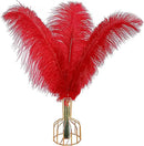 THARAHT Red Ostrich Feathers 12pcs Large Natural Bulk 14-16Inch 35cm-40cm for Wedding Party Centerpieces Halloween and Home Decoration Feathers by CozyNest Decor