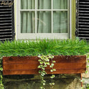 6Pcs Artificial Grass Fake Plants 17.3in 16 Leaves Outdoor Fake Grass UV Resistant Greenery Plastic Plants for Home Window Garden Office Patio Hanging Planter Pathway Front Porch Décor by GreenHaven Gardens