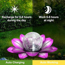 LEWIS&WAYNE Solar Garden Lights Outdoor, 3 Pcs Purple Lotus Flower Pathway Lamps with Cool White Crackle Glass Globe Led Lights for Patio Pathway Yard Balcony Garden Decorations by CozyNest Decor