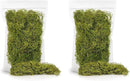 Premium Spanish Moss in Spring Green| Natural Preserved - 10 Quart - Great Ground Cover - Filler for Potted Plants - by GARDENERA (2 Bags of 5 Quart) by GreenHaven Gardens
