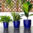 Ceramic Planter Pot - 12 Inch Pot for Plants Large Indoor Plant Pot with Drainage Hole and Saucer Fluted Round Planter for Outdoor Plants Flower Pot for Home Garden Blue by GreenHaven Gardens