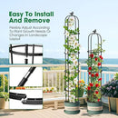 2 Pcs Garden Trellis for Climbing Plants, 6.2 Ft Rustproof Metal Pipe with Heavy Duty Plastic Coated, Garden Outdoor Indoor Potted Plant Support, Obelisk Garden Trellis for Climbing Vine by GreenHaven Gardens