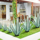 Large Tequila Rustic Sculpture, Rustic Metal Agave Plants for Outdoor Patio Yard, Home Decor Hand Painted Metal Agave Garden Yard Statue, Outdoor Lawn Ornaments (Mint Green - L) by GreenHaven Gardens