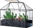 NCYP Glass Terrarium Planter with Lid for Small Succulent Cacti, Grid House Shape Black Geometric Terrarium Pot, Home Garden Indoor Tabletop Decor, 9.84" x 5.31" x 7.87" (No Plants) by CozyNest Decor