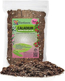 Caladium Plant Potting Soil - Enhance Colorful Beauty and Health with Professional Grade Nutrient-Rich Mix - 3 Quart by GreenHaven Gardens