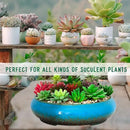 Succulent Pots - 11.5 Inch Ceramic Bonsai Pots with Drainage, Large Shallow Succulent Planters for Indoor Outdoor Plants, Round Glazed Cactus Flower Plant Container Bowl Home Desk Decor(Blue) by GreenHaven Gardens