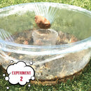 Einstein’s Young Survivor Science Kit for Kids. STEM for Boys & Girls Aged 8 and Above. Over a Dozen of Exciting Experiments Inside. Detailed Picture Guide Included. by TinyTreasures Baby Boutique